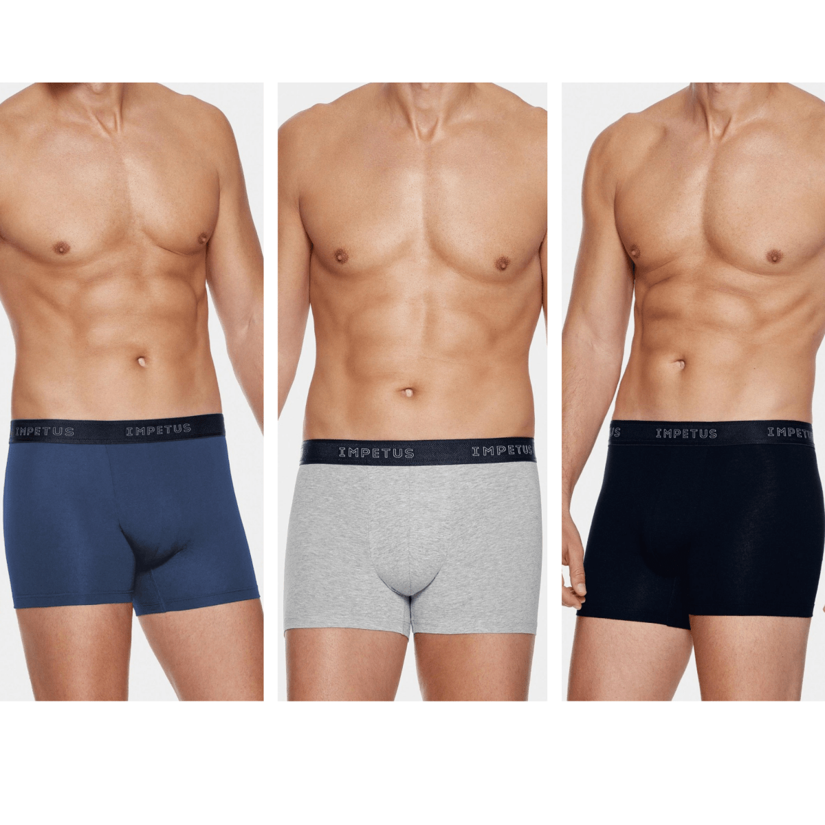 Pack 2+1 Bio Boxer - RicahMen's boxer shortsIMPETUS