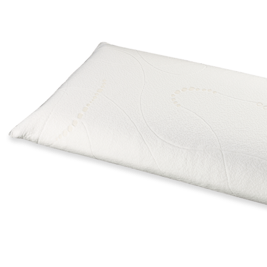 ViscoGel Memory Pillow - RicahPillowMOLAFLEX