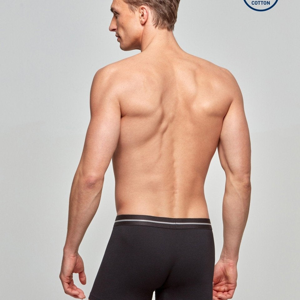 Cotton Stretch Boxer - RicahMen's boxer shortsIMPETUS