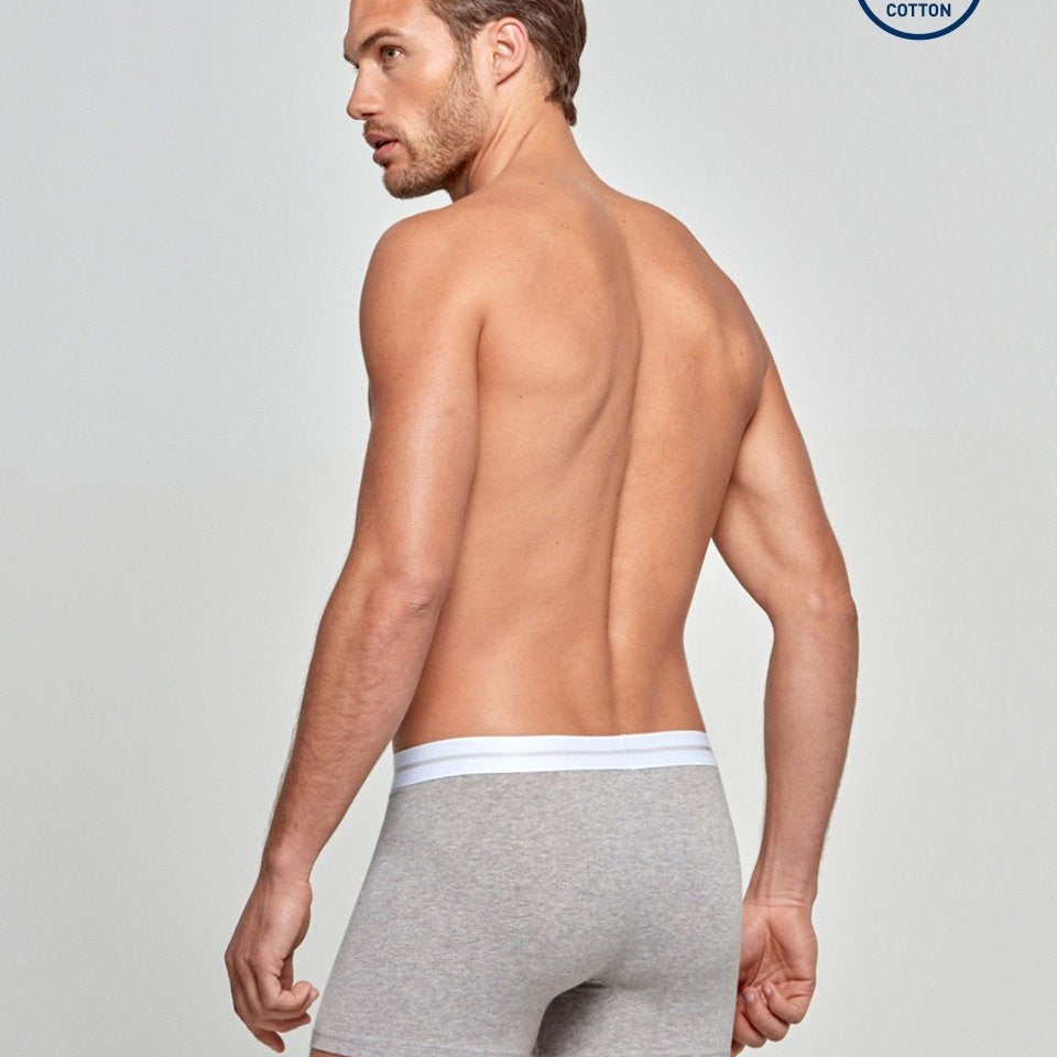 Cotton Stretch Boxer - RicahMen's boxer shortsIMPETUS