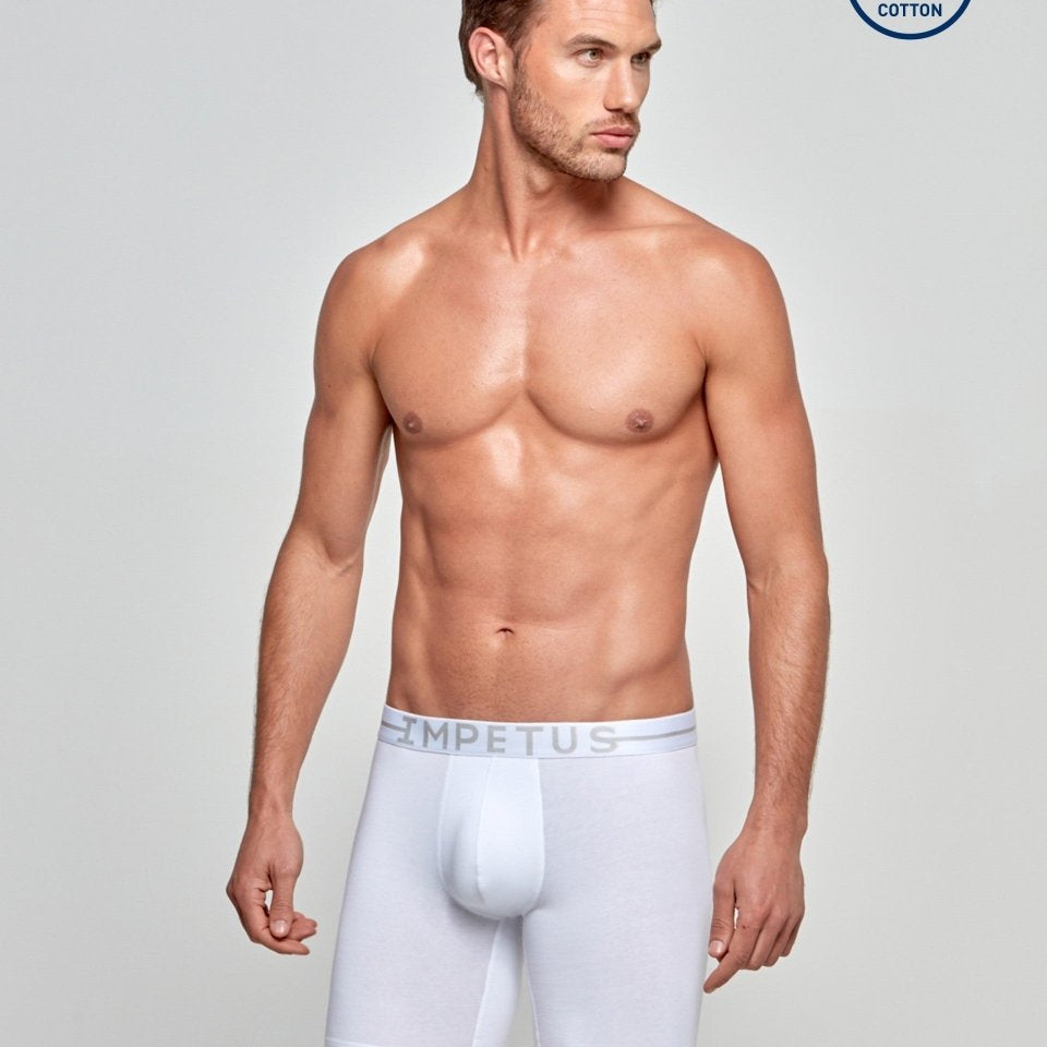 Long Cotton Stretch Boxer - RicahMen's boxer shortsIMPETUS