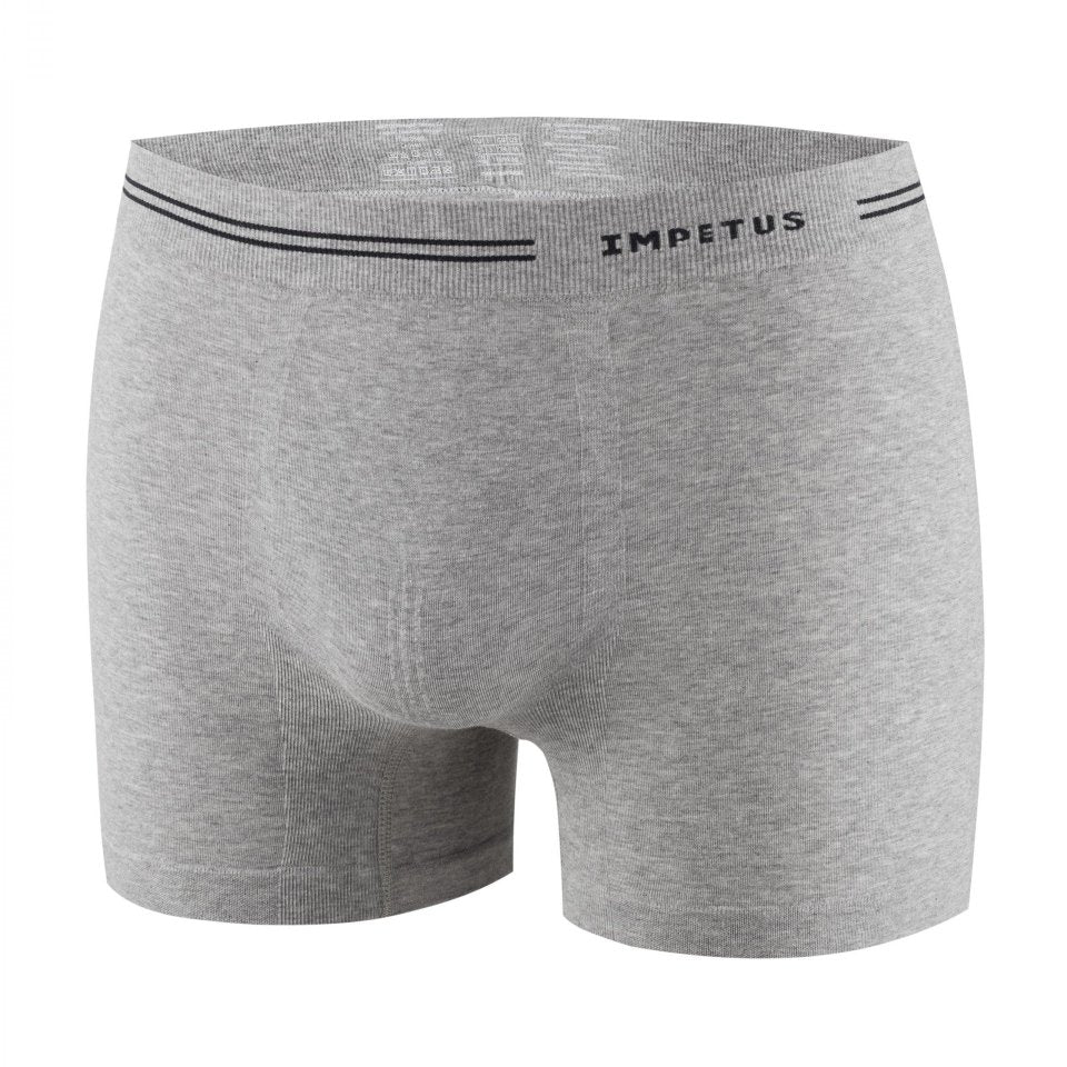 Seamless Boxer - RicahMen's boxer shortsIMPETUS